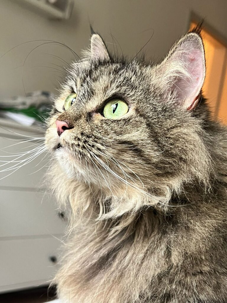 PHOTO-2024-09-11-21-28-00